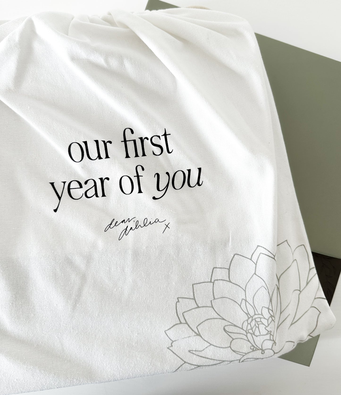Our First Year of You